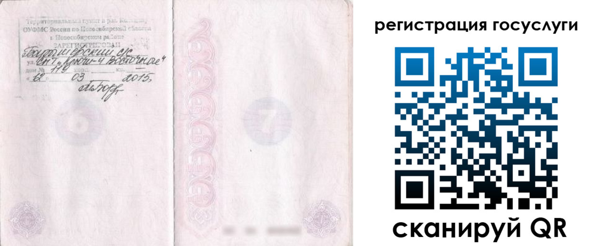 прописка для школы в Сельцо